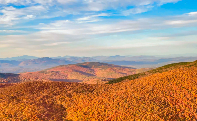 Fall photo cropped
